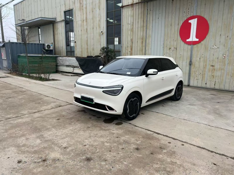 徐州25年东风纳米2