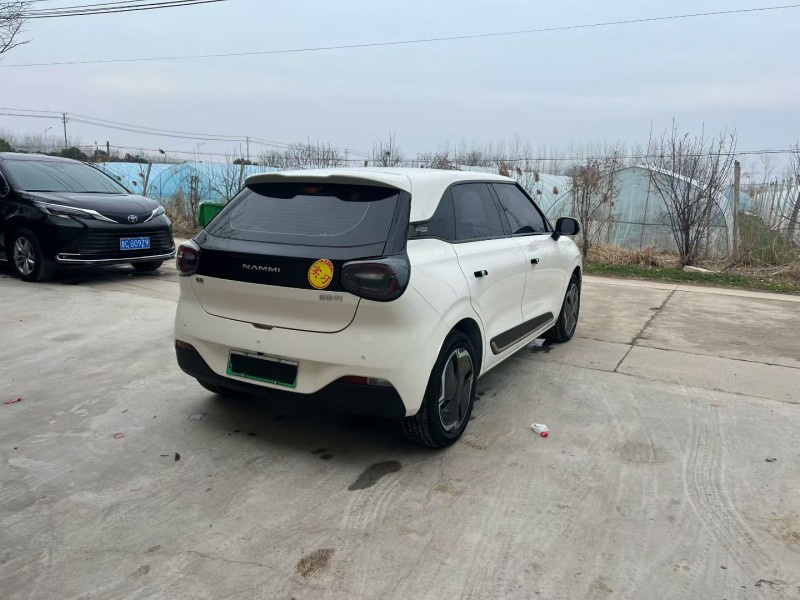 徐州25年东风纳米4