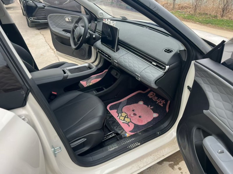 徐州25年东风纳米6