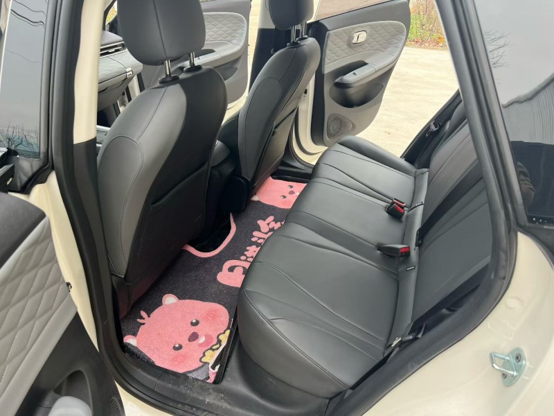 徐州25年东风纳米8