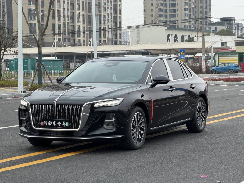 岳阳24年红旗H54