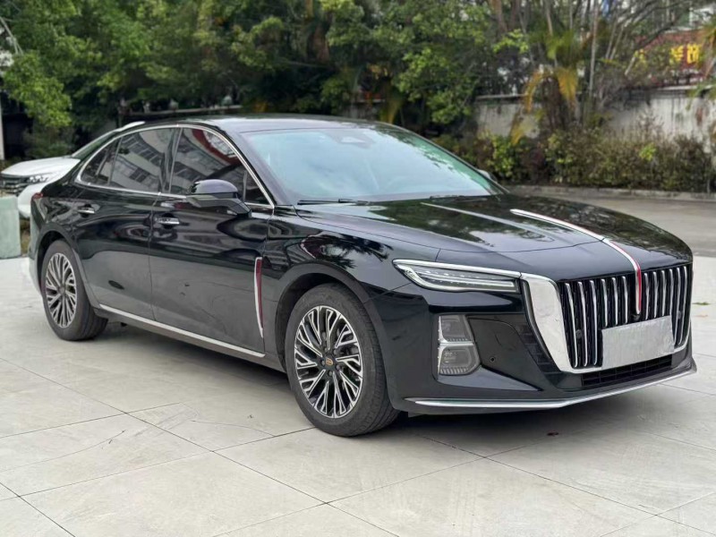 河源24年红旗H52