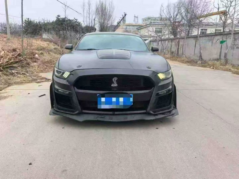 保定18年福特野马1