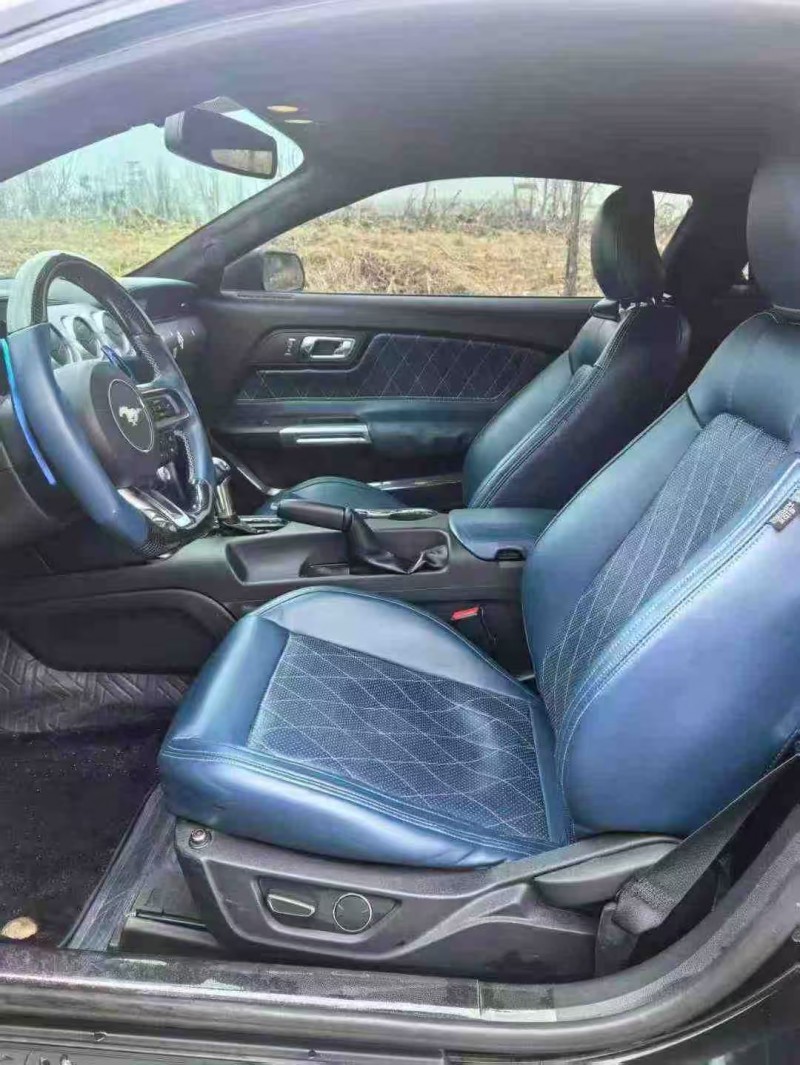 保定18年福特野马6