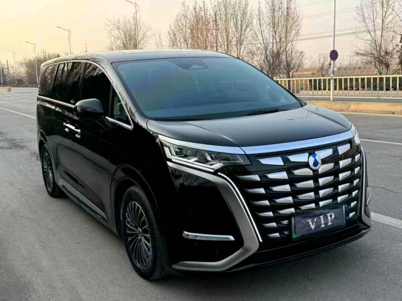 滨州24年腾势D92