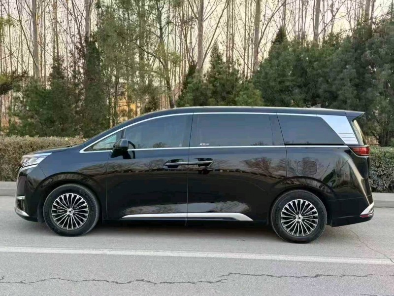 滨州24年腾势D93