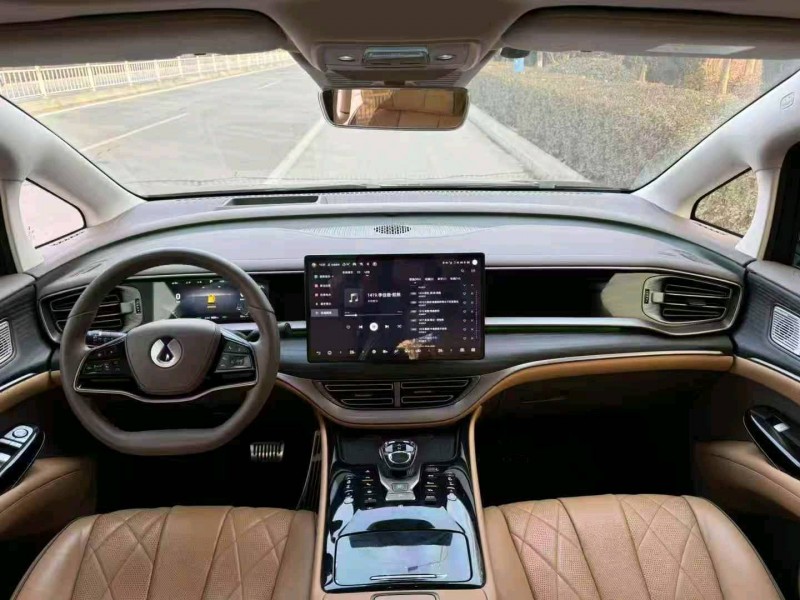 滨州24年腾势D95