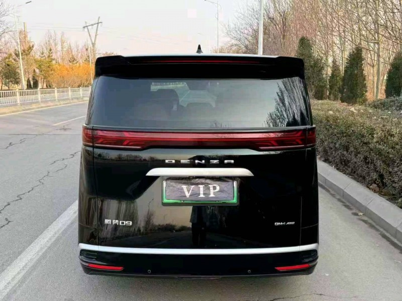 滨州24年腾势D96