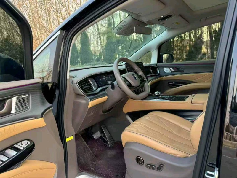 滨州24年腾势D97