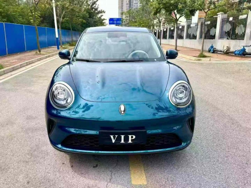 南宁25年长城汽车欧拉1