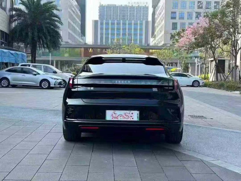 佛山25年极氪汽车0019