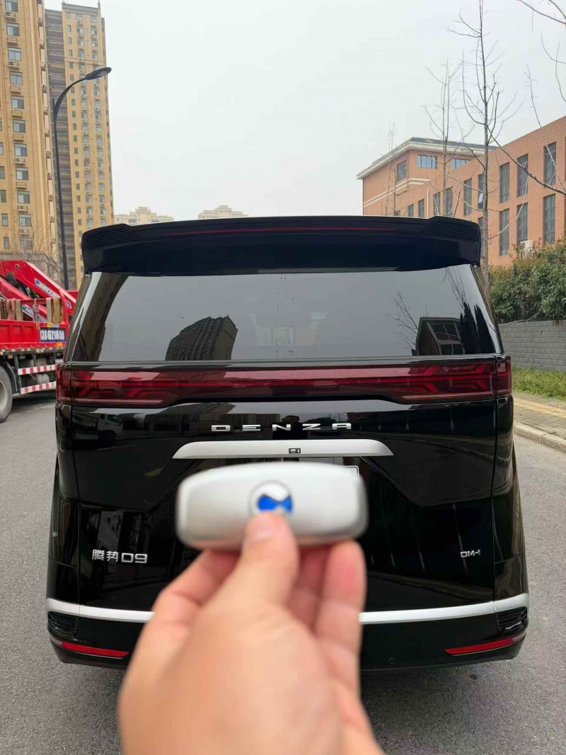 淮南25年腾势D99