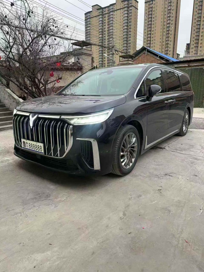 菏泽23年岚图汽车梦想家3