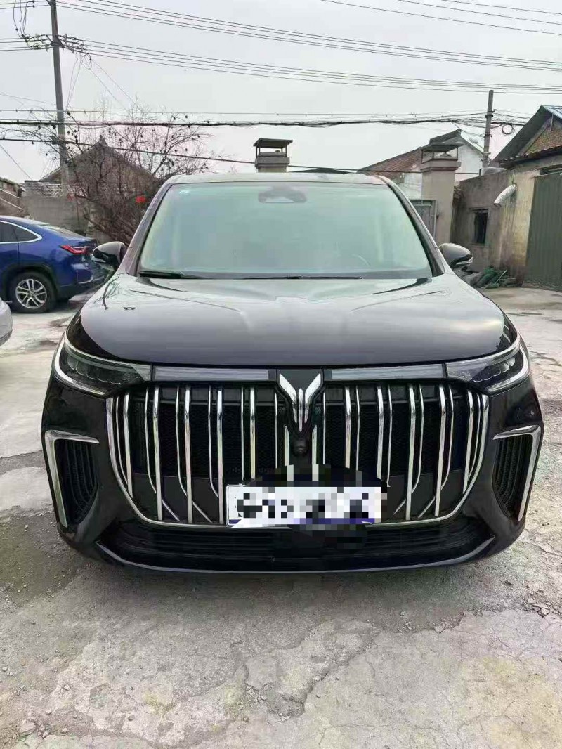 菏泽25年岚图汽车梦想家1