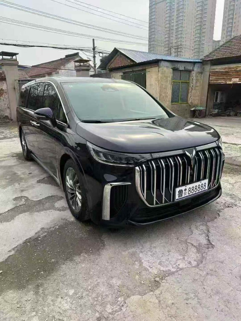 菏泽25年岚图汽车梦想家2