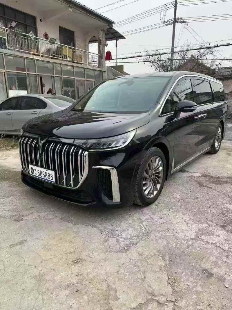 菏泽25年岚图汽车梦想家3