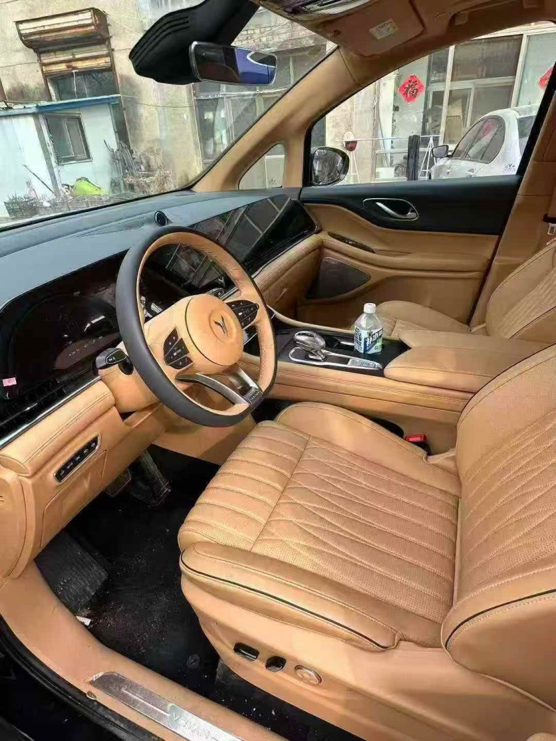 菏泽25年岚图汽车梦想家4