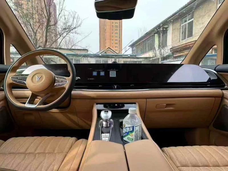 菏泽25年岚图汽车梦想家5