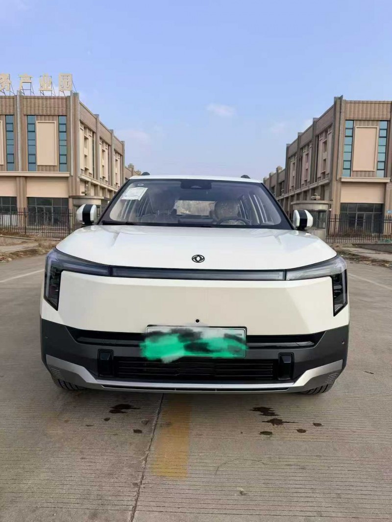 枣庄25年东风纳米1