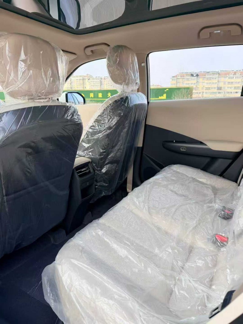 枣庄25年东风纳米6