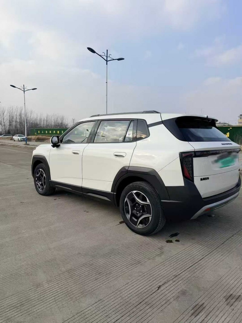 枣庄25年东风纳米8