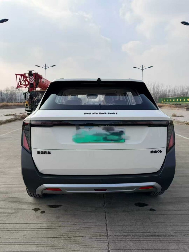 枣庄25年东风纳米9