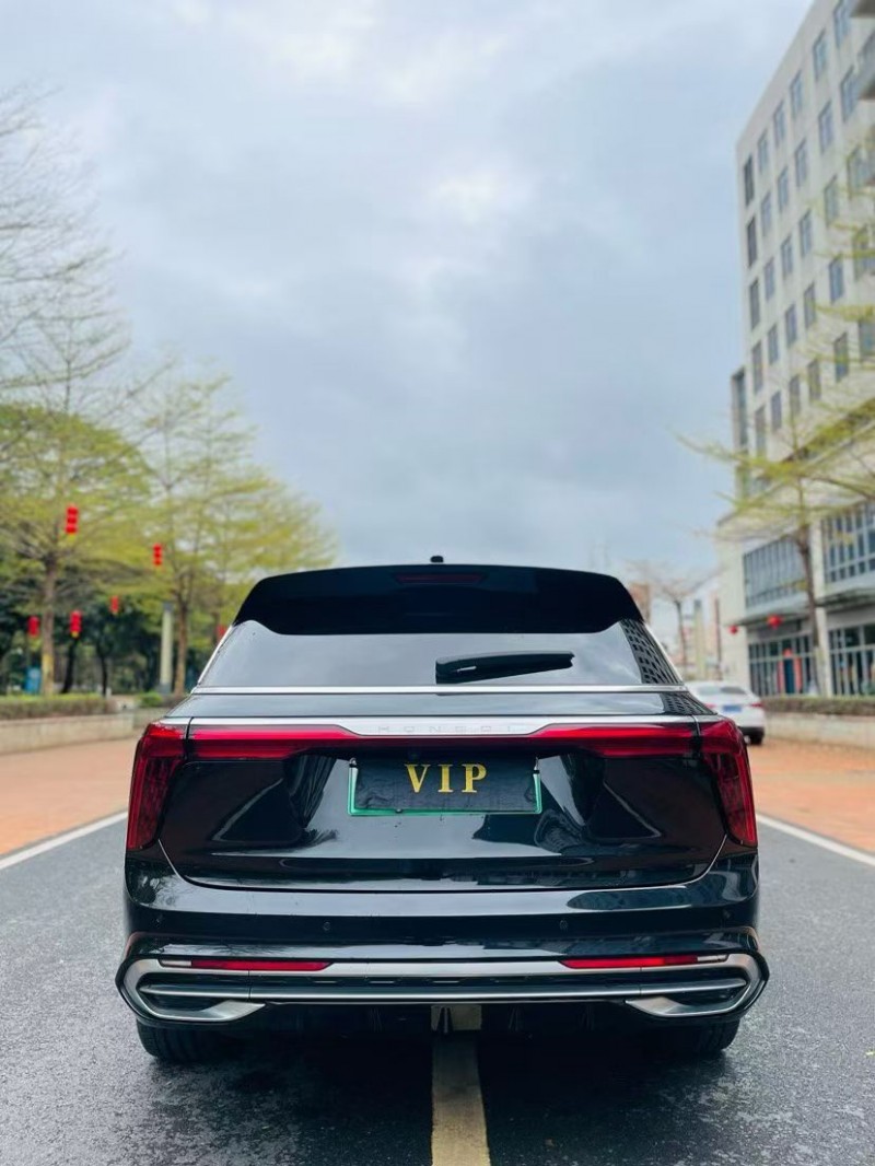 汕头21年红旗E-HS99