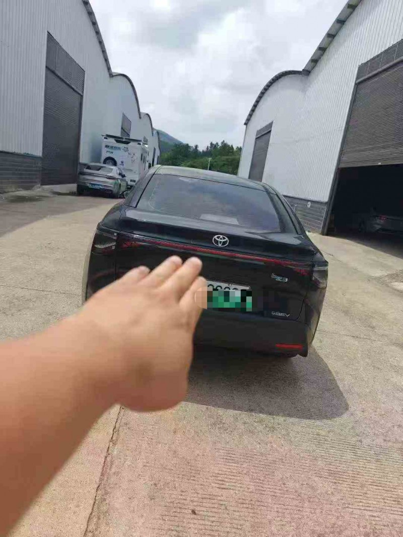 衡阳24年丰田BZ3Pro7