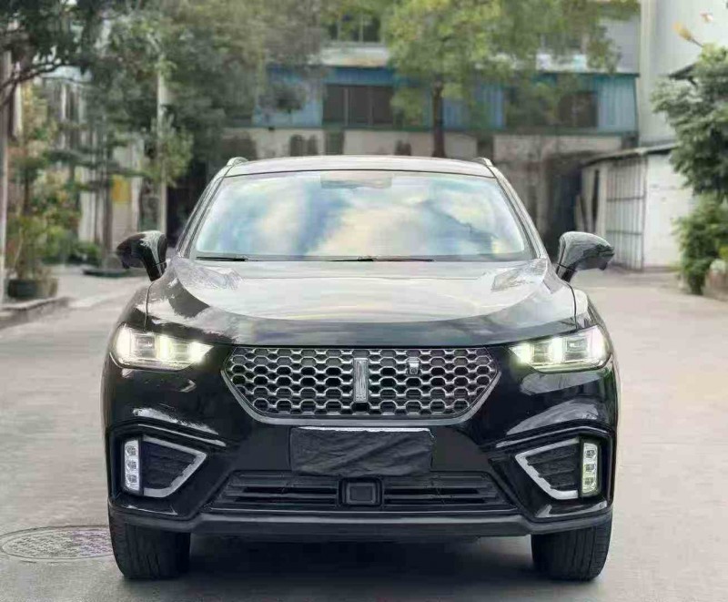 深圳21年长城汽车魏牌1