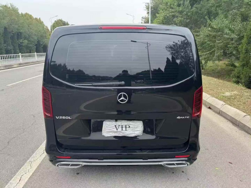 濱州18年奔馳威霆8