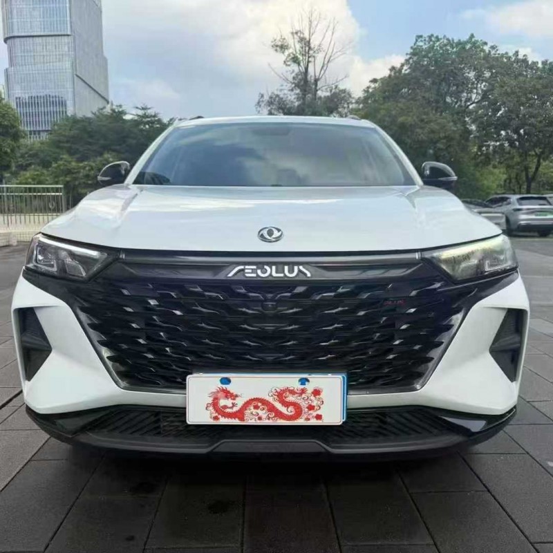 佛山23年东风风神1