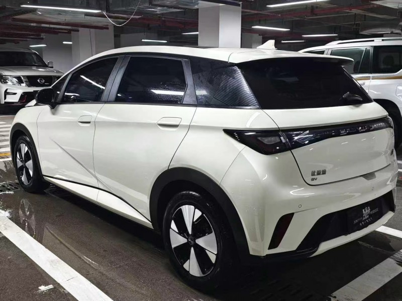 畢節23年比亞迪海豚7