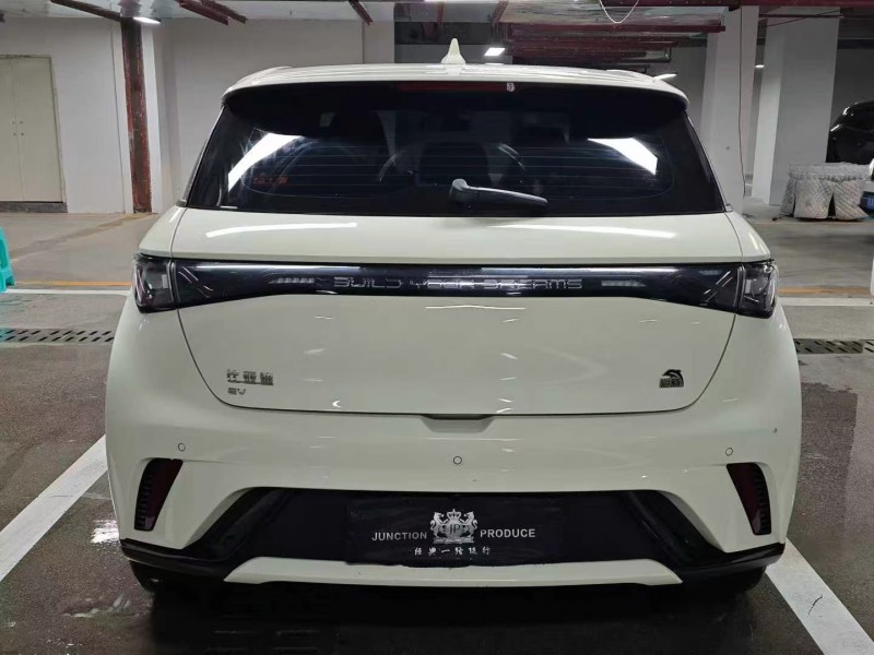 畢節23年比亞迪海豚9