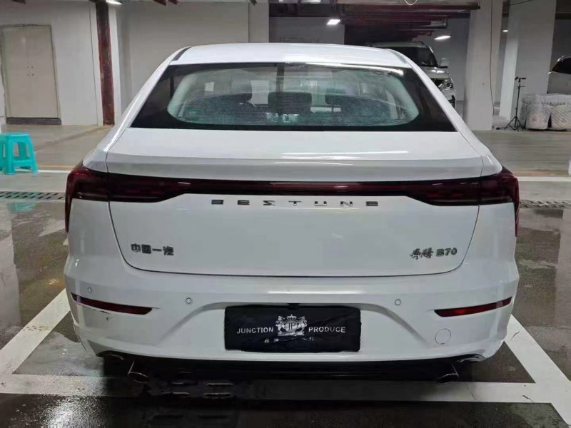 畢節17年奔騰B709