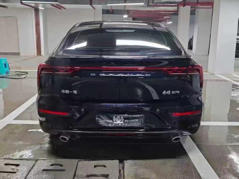 安顺24年奔腾B709