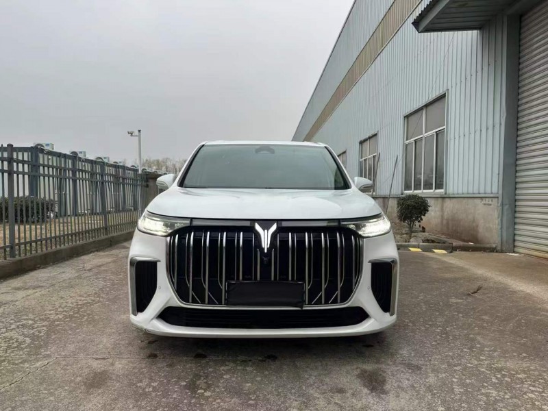 徐州23年嵐圖汽車夢想家1