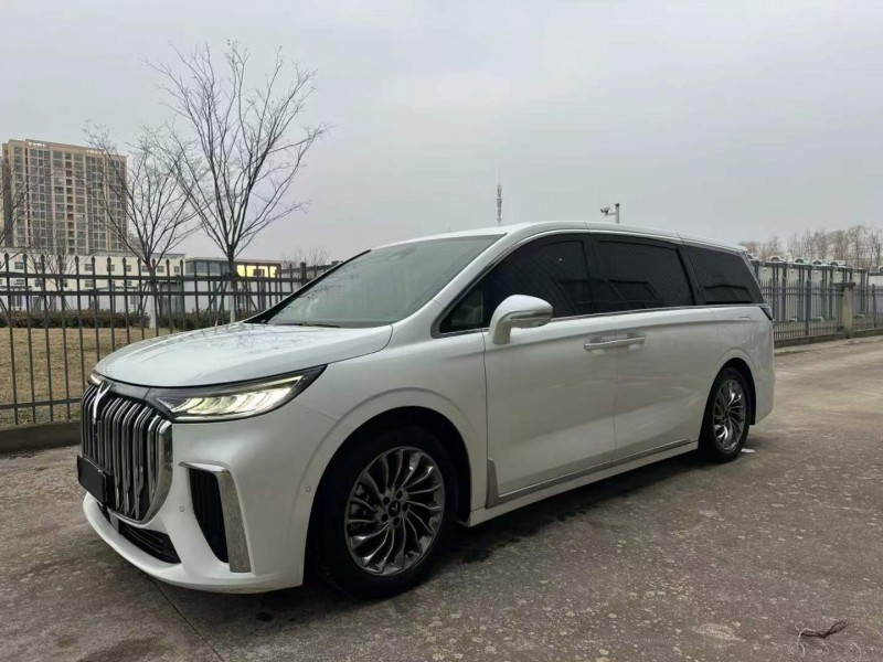 徐州23年嵐圖汽車夢想家2