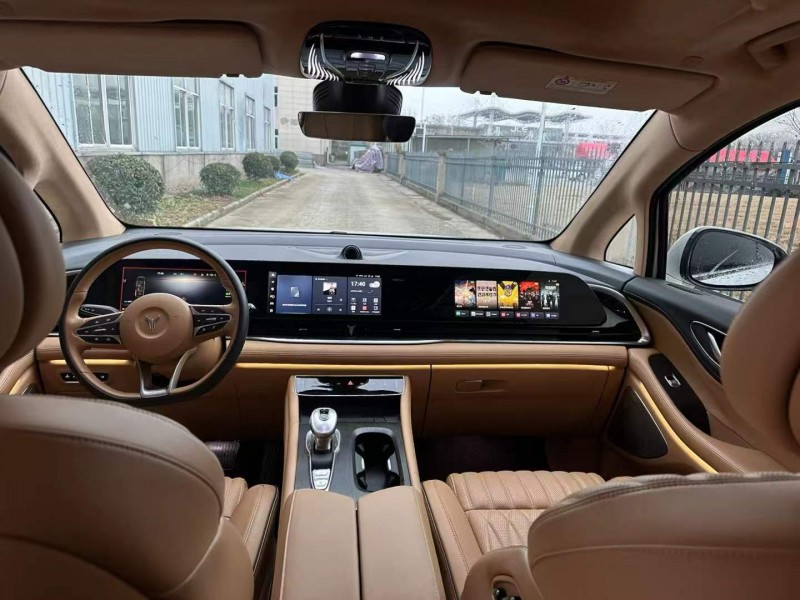 徐州23年嵐圖汽車夢想家8