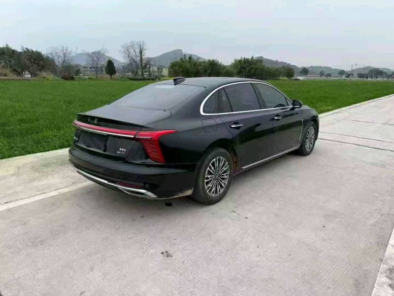 绍兴25年红旗H55