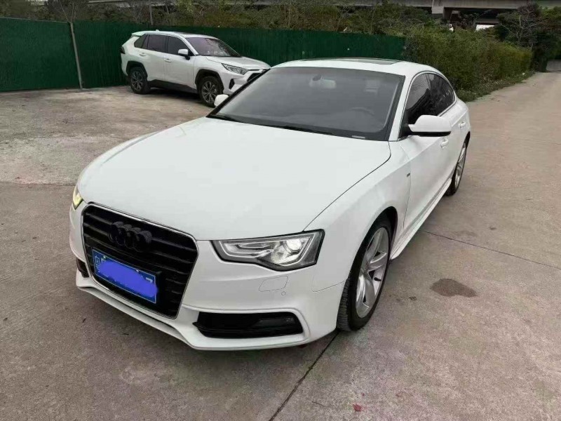 中山16年奧迪A53