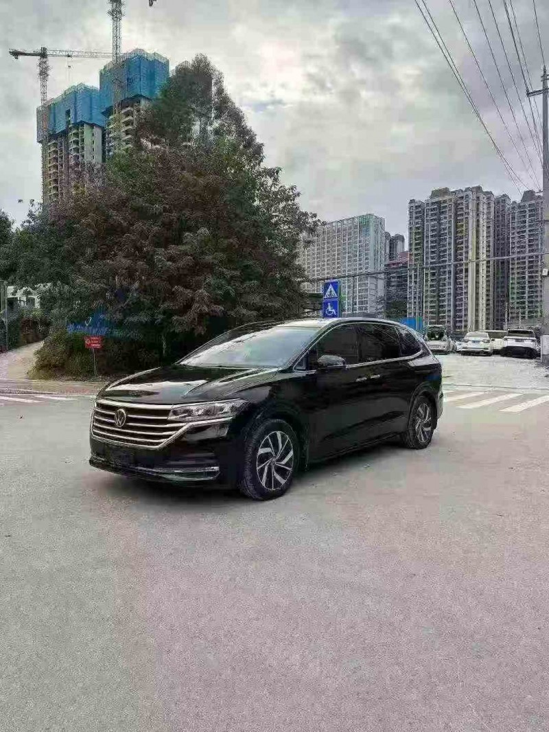 南寧21年大眾威然3