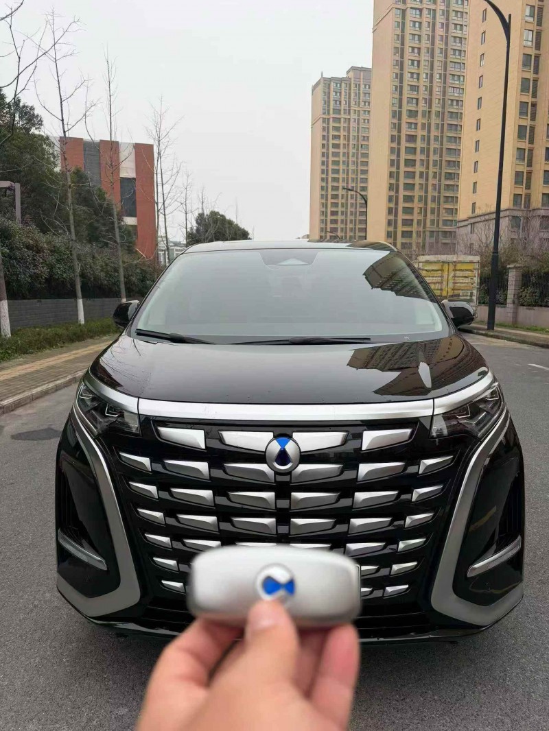 马鞍山25年腾势D91