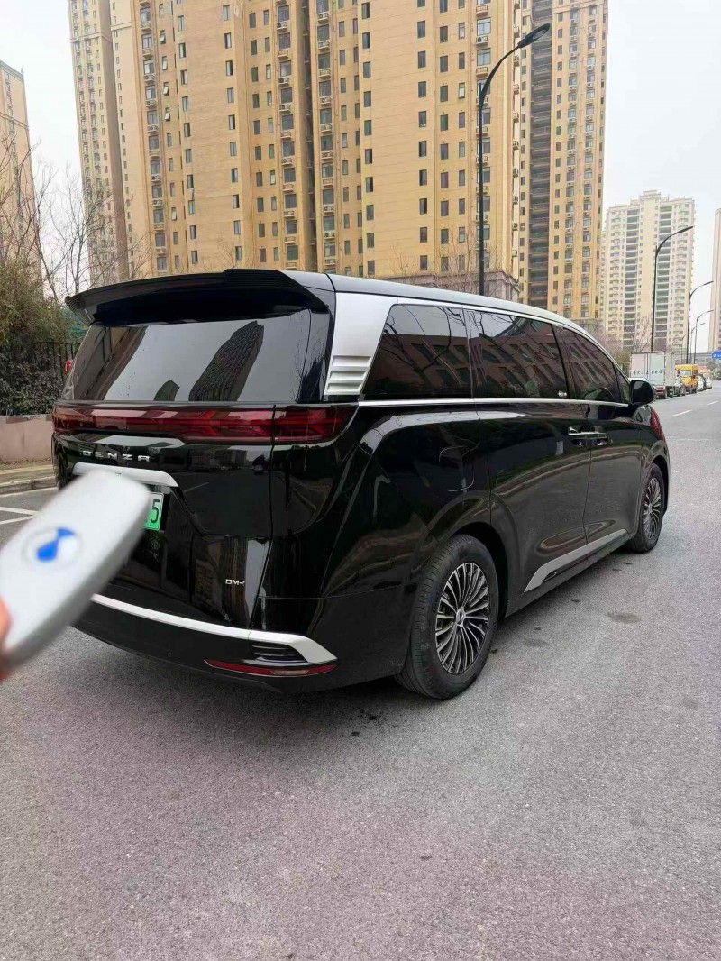 马鞍山25年腾势D98