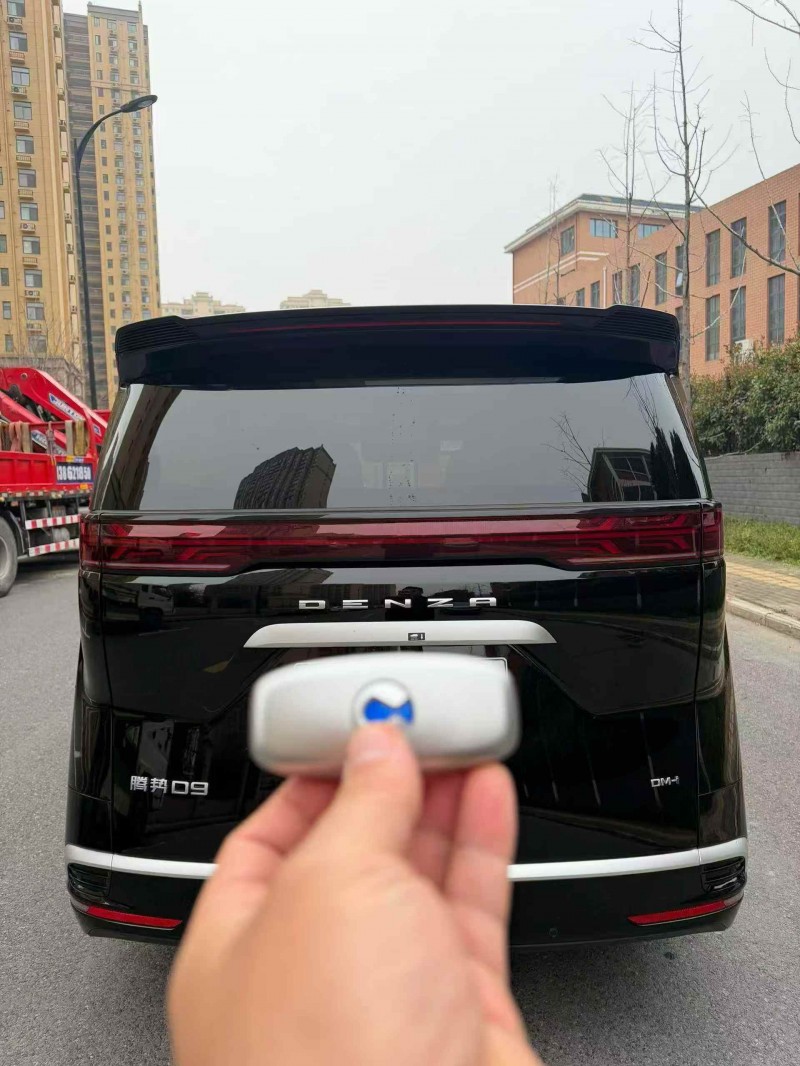 马鞍山25年腾势D99