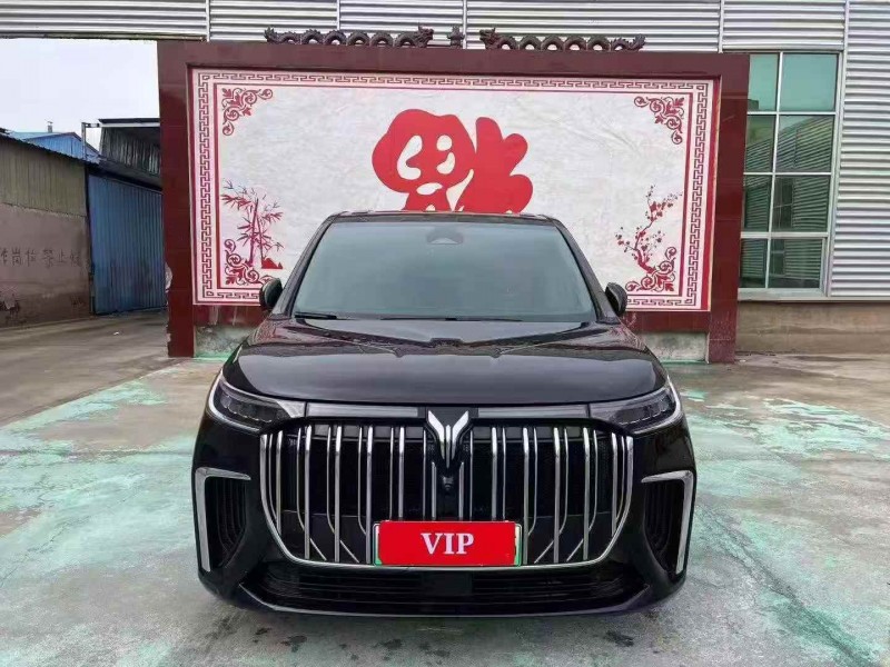 东营25年岚图汽车梦想家1