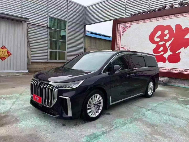 东营25年岚图汽车梦想家2