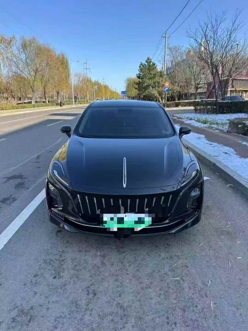 鹰潭24年红旗E-QM51