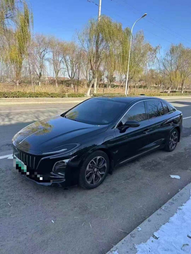 鹰潭24年红旗E-QM53