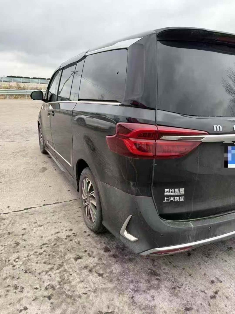 淄博23年大通maxus8