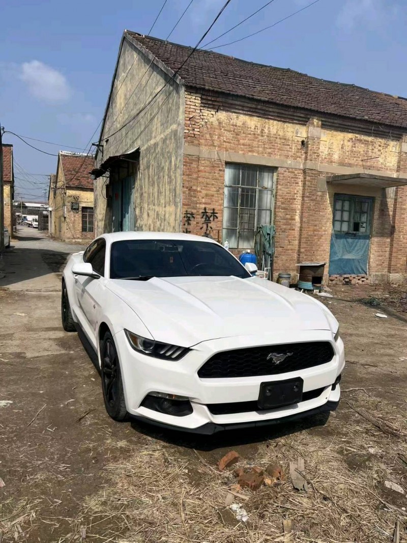 菏泽16年福特野马1